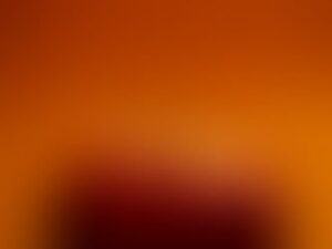 1a401a_3a7950a893b3494e8840c8052ff5d436mv2-1