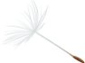 flower-right-qb8c9mrq6pd1xue20qclky1lh84h9cydkrwkmq7xa4