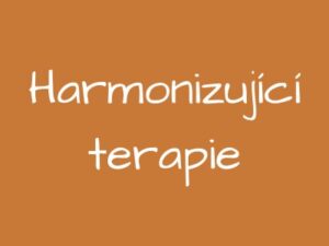 harmonizujici-terapie-r59s4e6cz6ay29pjxl5607b9xklm0eku70faojyx88