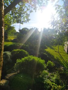 img_20240512_182826