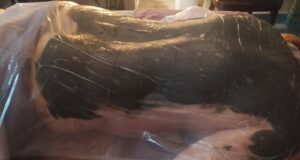 img_20241019_101453