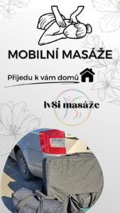ivsi