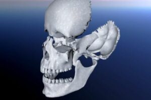 kraniosakralni-e1629203339616