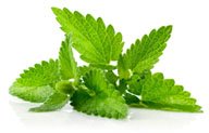 mint