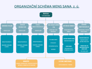 org-schema-2