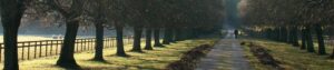 path