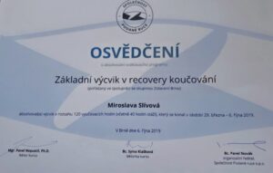 recovery-1024x651-1