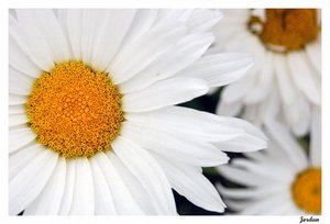 sunny_days_by_k2ascent