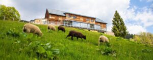 jarni-detox_amenity-resorts_1600x630_3