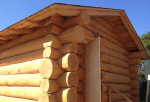 sauna4